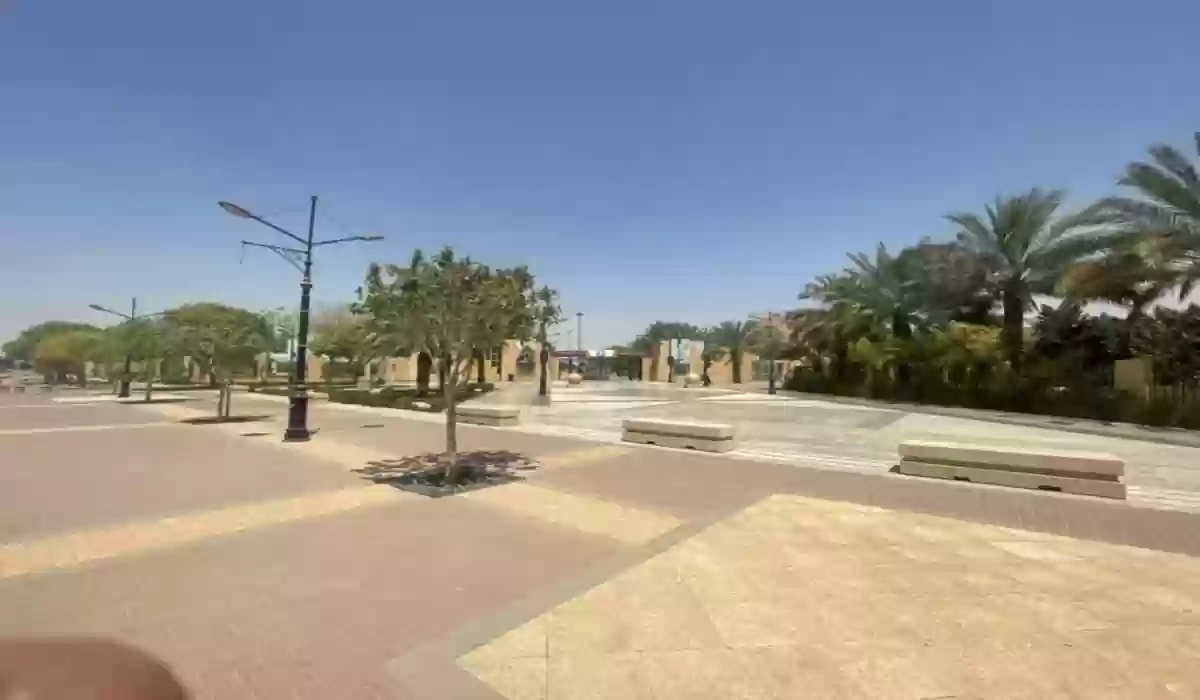 دليلك إلى حي الملز في الرياض 2024