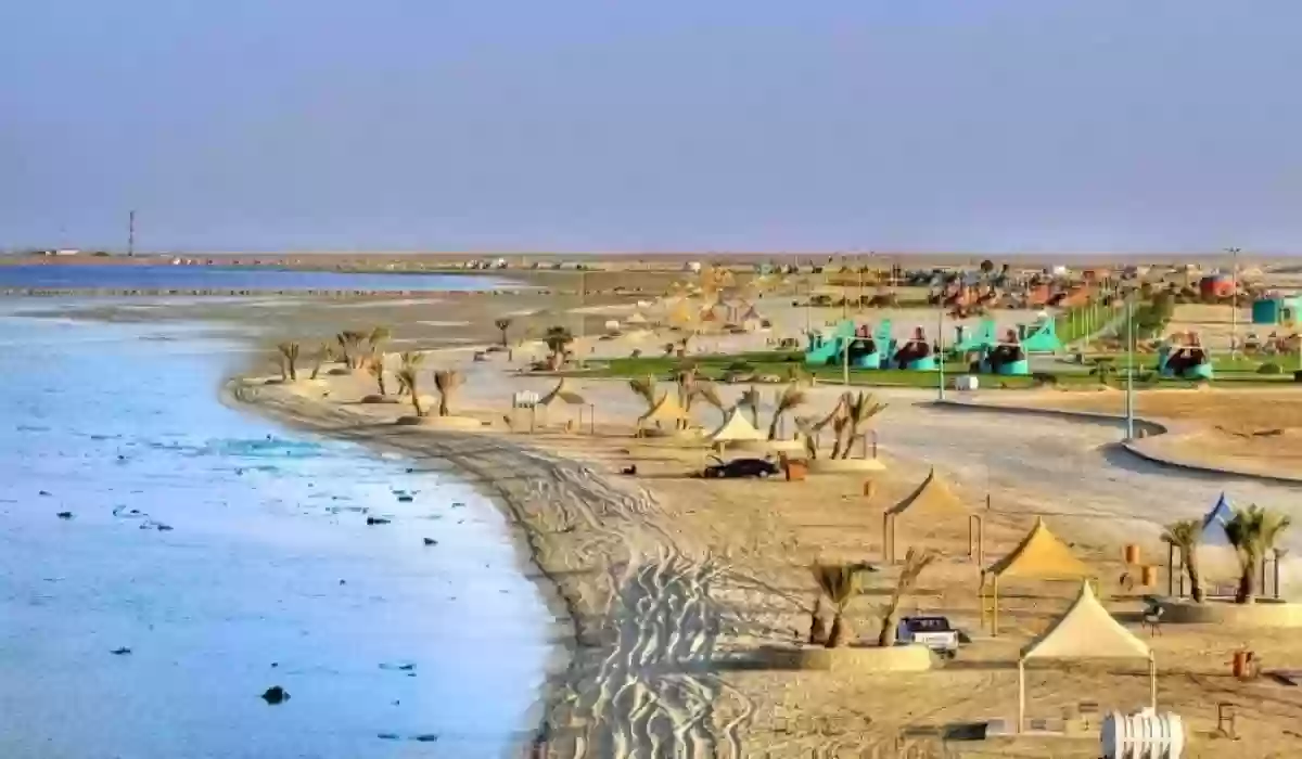 السياحة في الشواطئ السعودية لصيف 2024