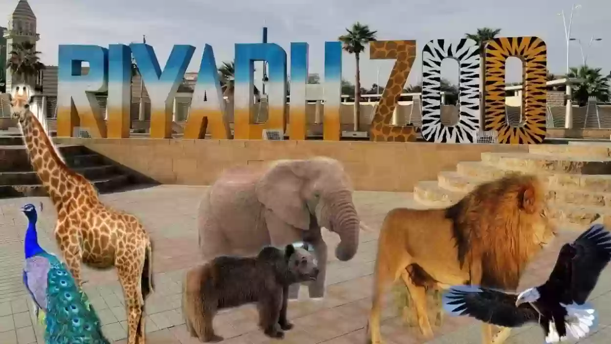 دليل حدائق الحيوان في السعودية: أفضل 8 حدائق حيوان لقضاء يوم مثالي 2024