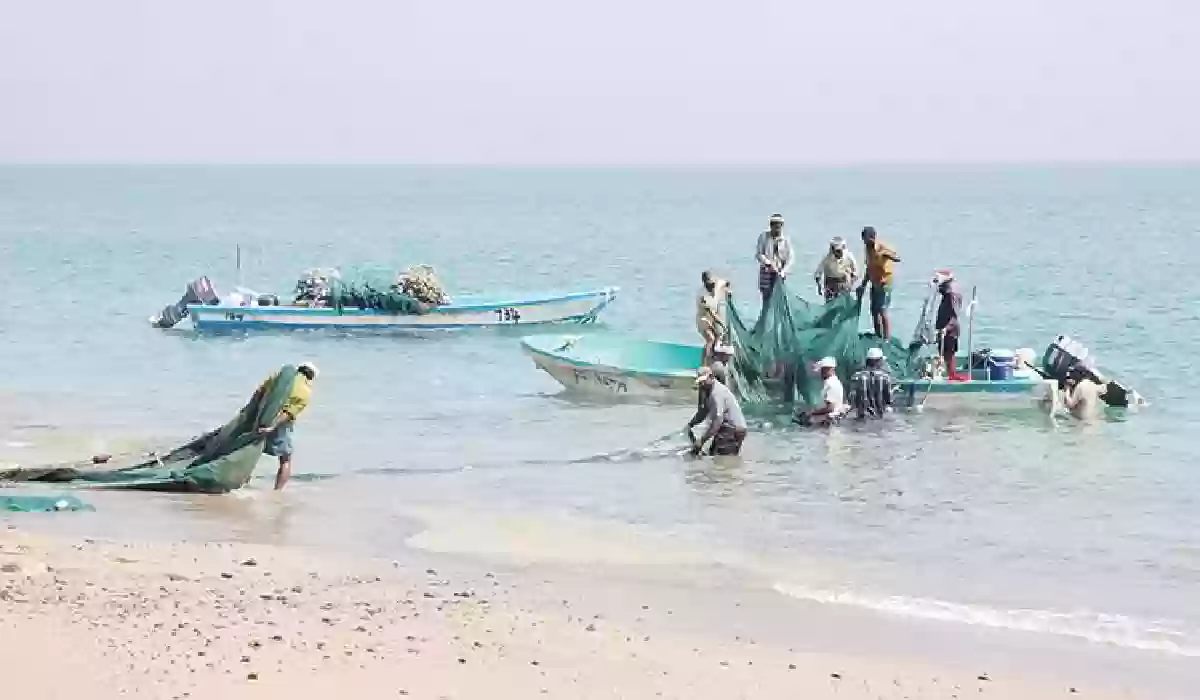 مخالفة صيادين في الفجيرة.